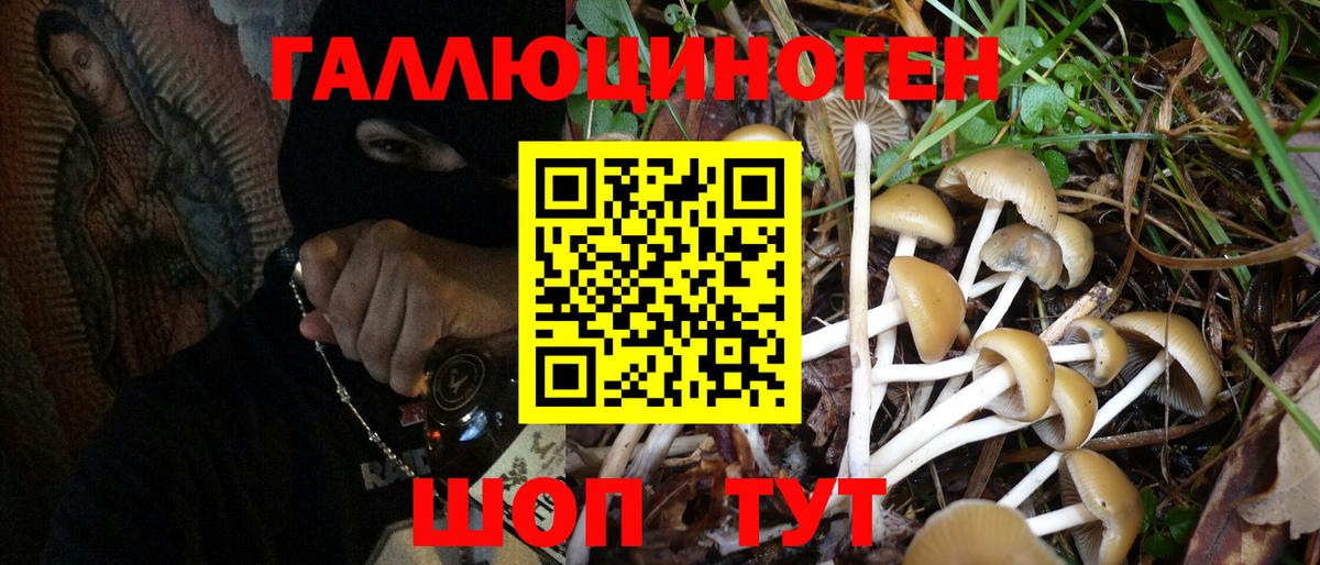 Псилоцибиновые грибы MAGIC MUSHROOMS Канск
