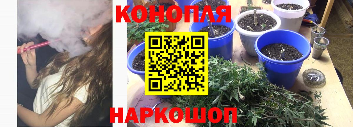 Каннабис MAZAR  Вход с VPN  Конопля марихуана  Бошки марихуана SATIVA & INDICA  Канск 